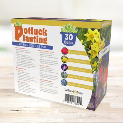 All-in-One Flower Garden Kit - 30 Bulbs Per Box - Potluck Planting Rainbow Bouquet Mix - Tulips, Daffodils, Iris, Crocus, Muscari - Live Outdoor Garden - Easy to Plant Flowers
