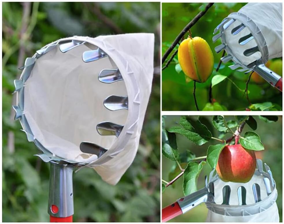 SagaSave Fruit Picker Pole Tool, Apple Orange Picker Pole Tool with Basket for Avocado Acorn Lemon Pear Mango Tree Picker