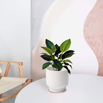 LB White Ceramic Planters for Indoor Plants, Succulent Plant Pots Ceramic Flower Pots, Modern Plant Pot for Living Room Office Home Decor, Round Flower Pot of 4.3 Inch(Plant Not Included)
