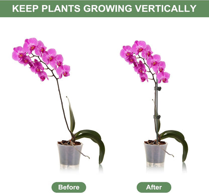 6 Packs Plant Support Sticks for Indoor Plants, Two Sizes (12 or 24 Inches) Orchid Stick and Clip, 0.18 inch Thicker Support Stake with Plant Ties and 12 Pcs Plant Clips for Flowers