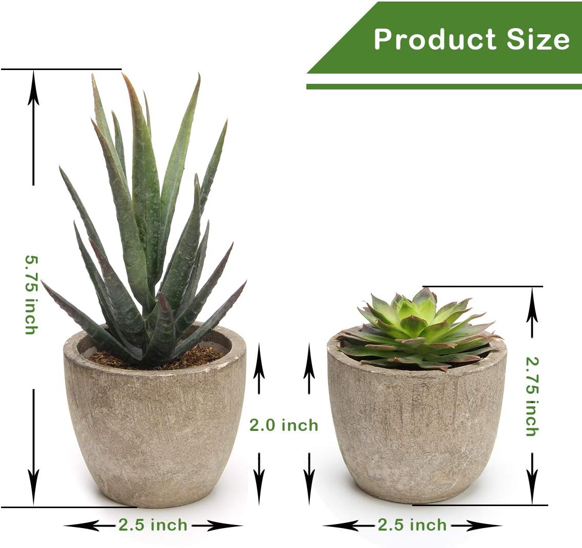 Coitak Artificial Succulent Plants Potted, Assorted Decorative Faux Succulent Potted Fake Cactus Cacti Plants with Pots, Set of 5