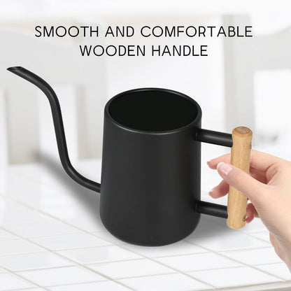 Watering Can for Indoor Plants, 35 oz/1000 ml Metal Stainless Steel Pot with Long Spout for House