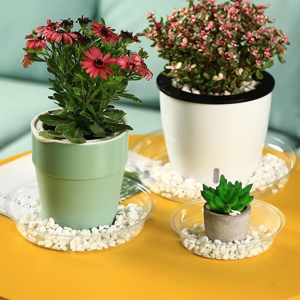 60 Packs Clear Plant Saucers for Indoor Outdoor Use 4/6/8/10/12/14 Inches Heavy Duty Plastic Plant Trays for Planter Bulk Flower Pot Drip Trays to Catch Water, Round Transparent