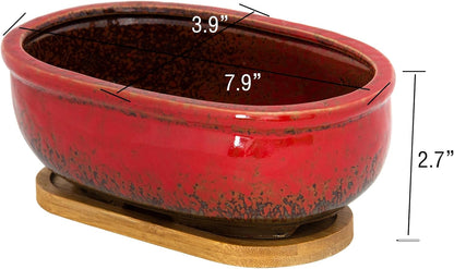 Succulent Pots, 7.9 Inch Long Rectangular Succulent Planters with Drainage Tray, Shallow Planters for Indoor Plants Ceramic Cactus Pots Glazed Bonsai Flower Plant Container for Home Windowsill Decor