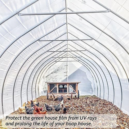6 Mil Clear Greenhouse Plastic Sheeting,Transparent Plastic Film for Greenhouse, Resistant Polyethylene Film for Farm,Garden (9.8ftx24.6ft)…