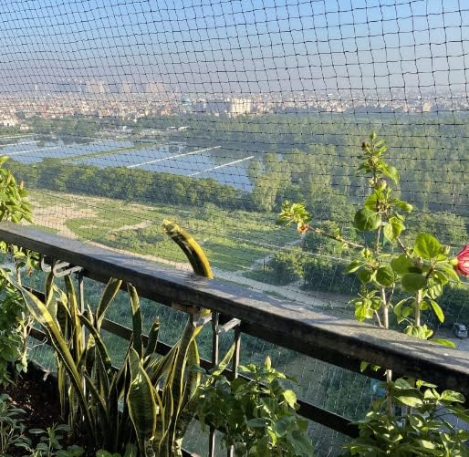 Anti Bird, 50 x 100FT Mesh Garden Bird Net, Poultry Fruit Tree, Nylon for Bird Poultry Aviary Game Pens Chicken Coop, 1.96inch Mesh Black