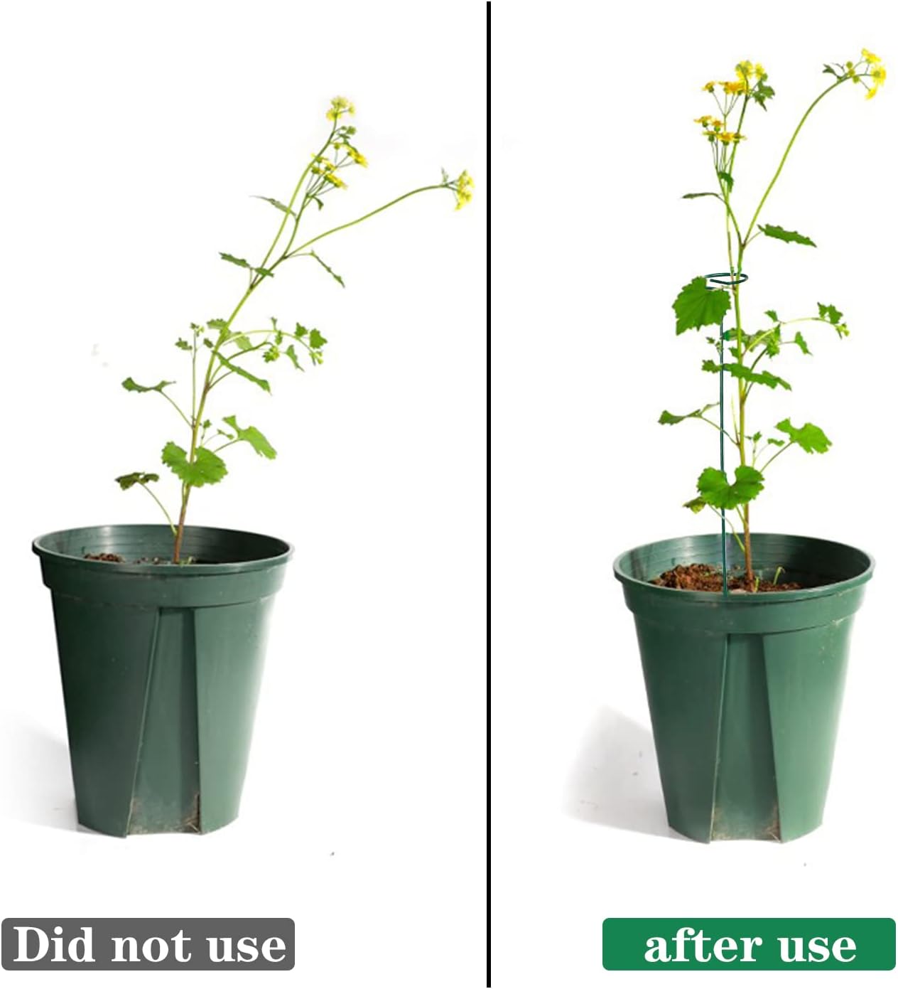 4 Pack Plant Stakes,Plant Support Stakes for Two Sizes(16 or 32 Inches),Plant Stakes for Outdoor Plants,Garden Flower,Tomato(Green)