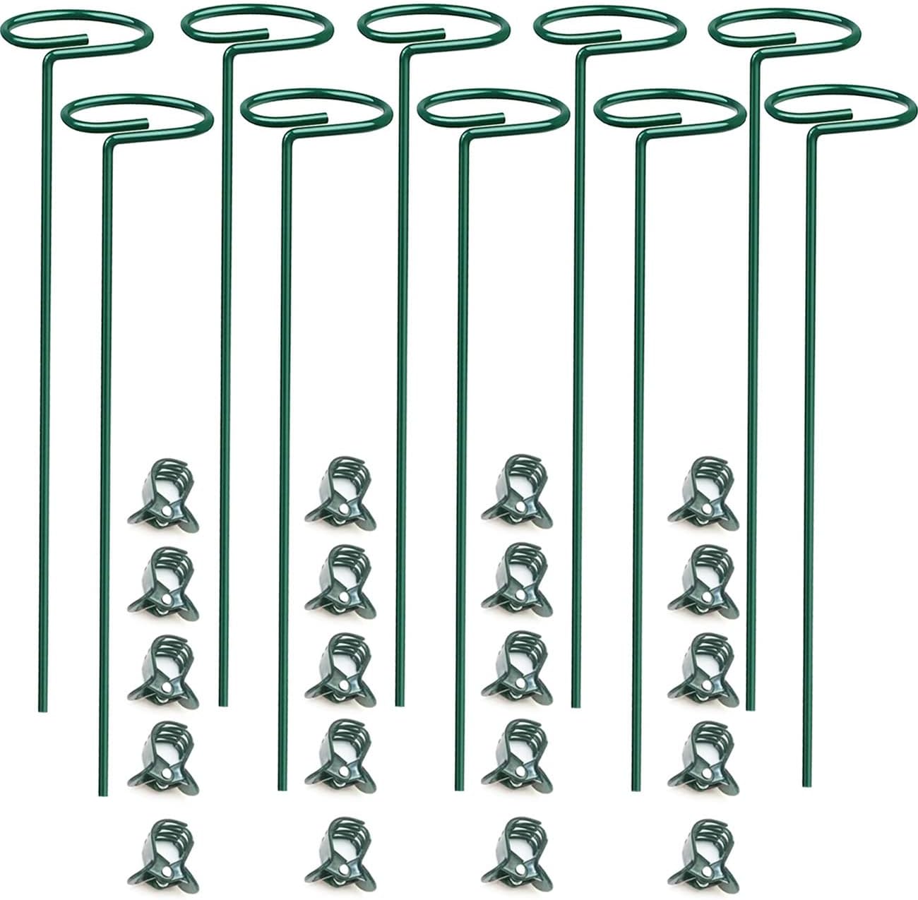 10 pcs 8 inch Metal Single Stem Flower Plant Support Stakes and Rings for Amaryllis Orchid Lily Sunflower Rose Narcissus