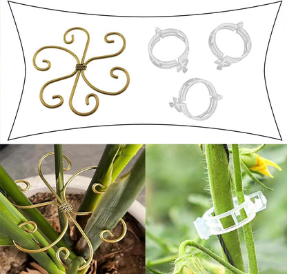 QAZXCDEW-Plant Stem Support,Vertical Growth Support,Plant Stem Holder,Combining Two Styles Delivery of 50 Plastic Plant Clips for Thriving Growth Middle and Small Climbing Plants-8pcs