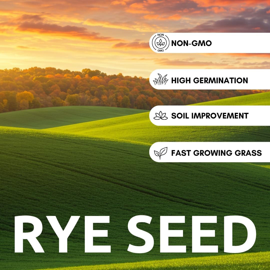 Rye Grain Seeds – 15 lbs – Open-Pollinated Cover Crop and Forage Mix for Soil Improvement, Erosion Control, and Deer Food Plots