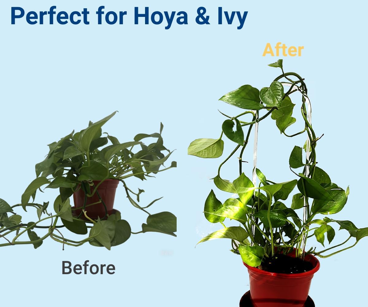 2 Pack U-Shaped Clear Acrylic Plant Supports - 14 inches Indoor/Outdoor Climbing Vine Trellis for Potted Plants, Ideal for Ivy & Tropical Houseplants,Plant Support Hoya Trellis
