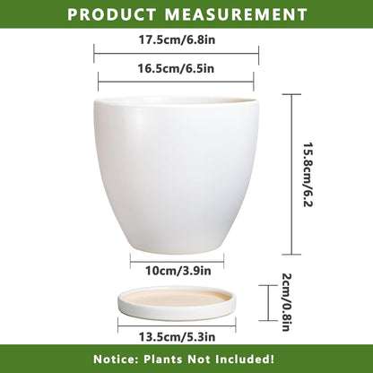 Ceramic Pots for Plants - 6.8 Inch Plant Pot with Drainage Hole and Saucer, Succulent Round Flower Planters for Indoor, Home Decor, White