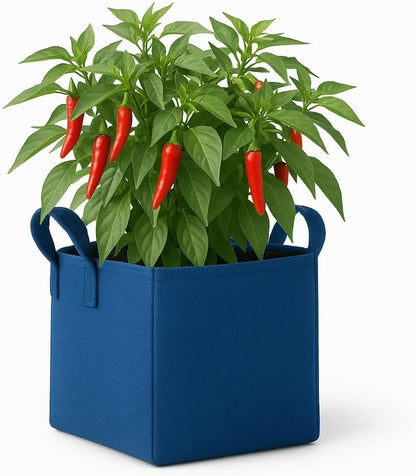 Square Geo Fabric Grow Bag 400 GSM Durable Breathable UV Resistant Reusable Plant Container for Herbs, Vegetables Flowers Space Saving Gardening Pack of 2 (Green, 15 inch) (Blue)