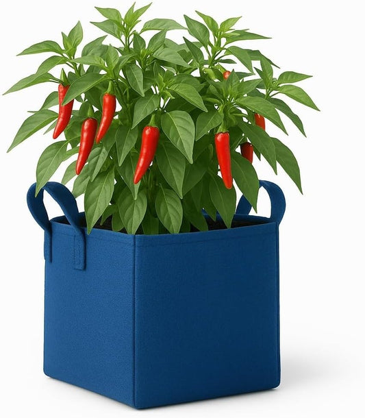 Square Geo Fabric Grow Bag 400 GSM Durable Breathable UV Resistant Reusable Plant Container for Herbs, Vegetables Flowers Space Saving Gardening Pack of 2 (Green, 15 inch) (Blue)