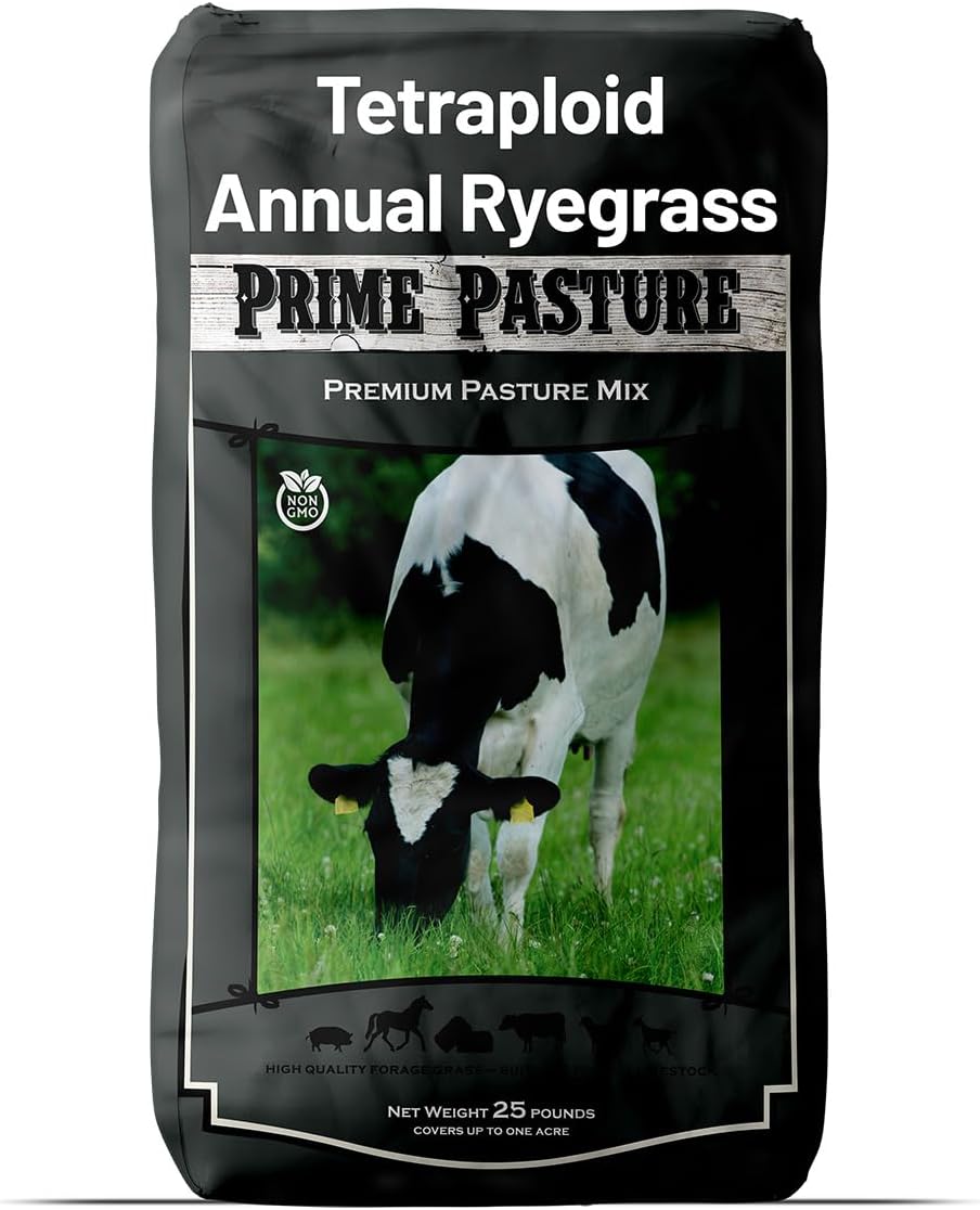 Outsidepride Ryegrass Seeds - 50 lb. Annual, Hardy & Fast-Growing, Cover Crop Seeds for Planting Glossy Dark Green Grass Leaves, Ideal for Hay Foraging, Pasture Grazing & Erosion Control