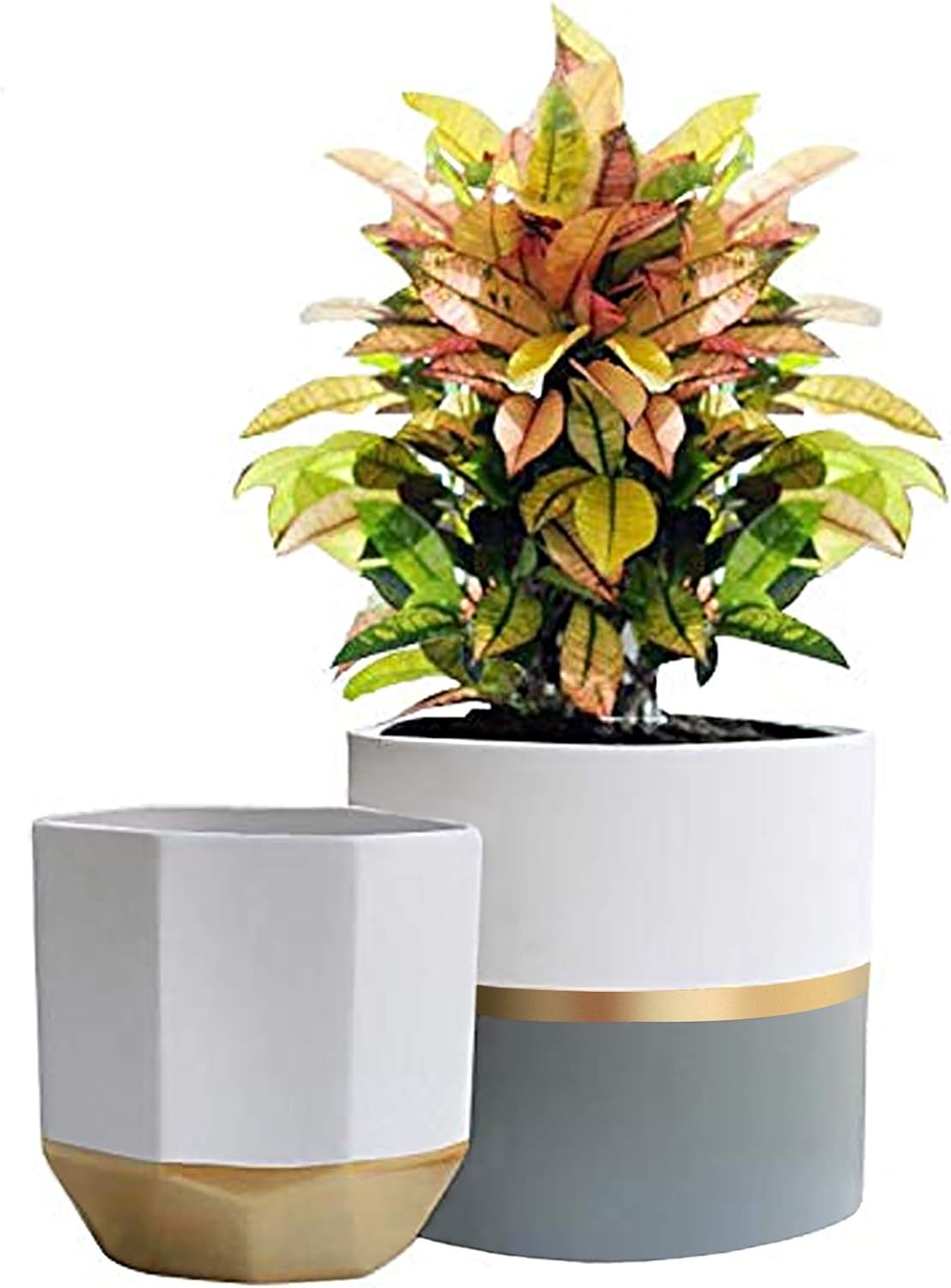 LA Jolie Muse White Ceramic Flower Pot Garden Planters 6.7 Inch Pack 2 Indoor Plant Containers with Gold and Grey Detailing