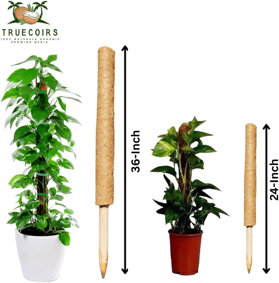 Pack of 6 Coco Coir Pole- Plants Monstera 24" Sized Poles for Climbing Plants, Plant Support Stakes for Indoor/Outdoor Potted Plants