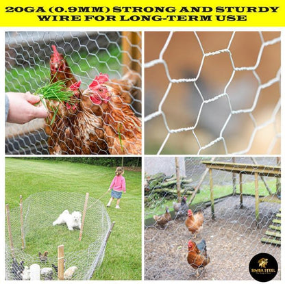 Chicken Wire 48 in x 150 FT x 2” Mesh x 20GA | Poultry Wire Netting | Hot Dipped Galvanised | Hexagonal Galvanized Mesh for Chicken Coop, Rabbit Cage, Fence Barrier PM48x150x2