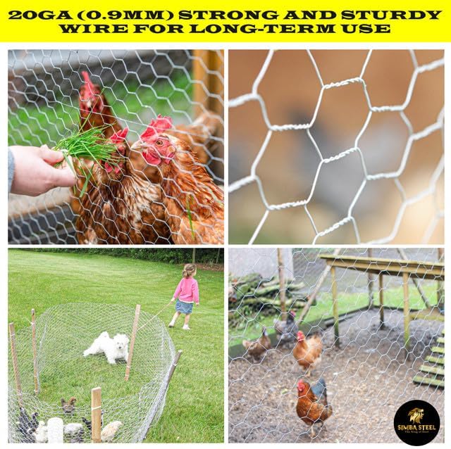 Chicken Wire 36 in x 150 FT x 2” Mesh x 20GA | Poultry Wire Netting | Hot Dipped Galvanised | Hexagonal Galvanized Mesh for Chicken Coop, Rabbit Cage, Fence Barrier PM36x150x2