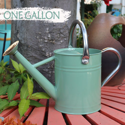 yourjoy Metal Watering Can 1 Gallon for Outdoor Garden Plants, CGreen