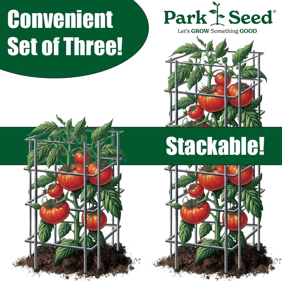 Park Seed Tomato Cages – 39" Tall Heavy-Duty Plant Supports for Tomatoes, Peppers, Cucumbers, and Climbing Vegetables, Foldable Metal Garden Trellis, Pack of 3