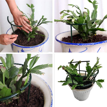 Belit 8 Pack Small Plant Support Plant Stakes, Garden Flowers Green Plant Support Ring, Planter Support Ring for Schlumbergera, Clivia, Vegetables, 5.5" Wide x 9.8" High