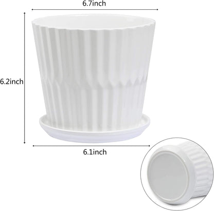 Plant Pots - 6.7 Inch Cylinder Ceramic Planters with Connected Saucer, Pots for Succuelnt and Little Snake Plants, Set of 2, White