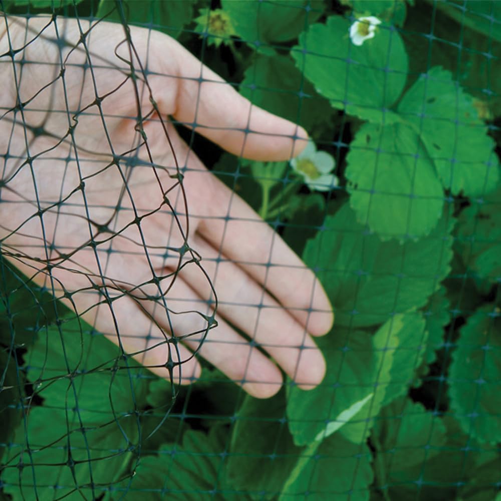 Bird B Gone Heavy Duty Garden Bird Netting - 14' x 200' Net Roll - UV-Stabilized Bird 3/4" Mesh for Garden Protection, Fruit Trees, Bushes, Plants - Anti Bird Netting Roll for Gardens & More - Black