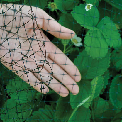Bird B Gone Heavy Duty Garden Bird Netting - 14' x 100' Net Roll - UV-Stabilized Bird 3/4" Mesh for Garden Protection, Fruit Trees, Bushes, Plants - Anti Bird Netting Roll for Gardens & More - Black