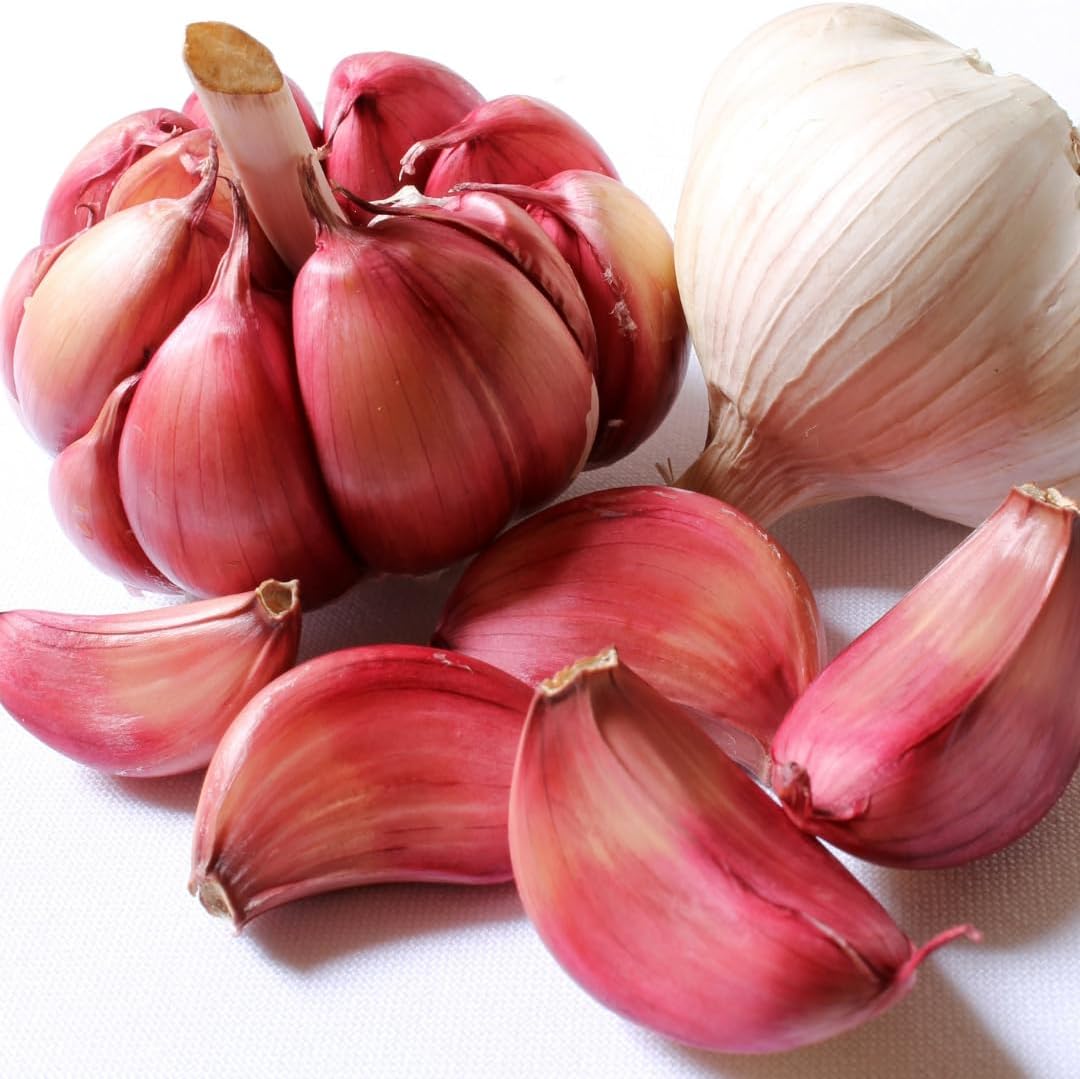1 Pound Hard Neck Garlic for Planting in Fall, Red Garlic Bulb for Planting, Fresh and High Yield, Cold Hardy, Planting Softneck Hardneck