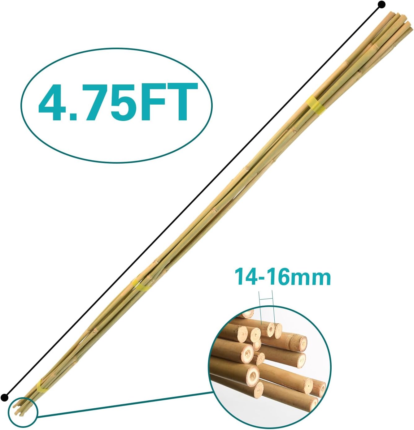 Bamboo Stakes 57 Inch, Approx 5FT Garden Stakes Multi-Purpose, Plant Stakes for Tomatoes, Beans, Cucumbers, Peppers, Flowers, Potted, Maintain The Plant Posture, Strengthen and Stem
