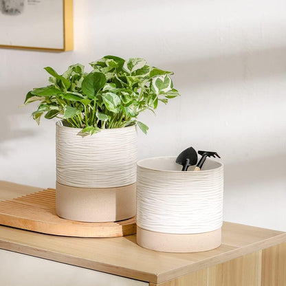Nihow Ceramic Plant Pot: 6 Inch Planter with Drainage Hole & Saucer for Indoor & Outdoor Plants - Cylinder Round Flower Pot for Succulent/Herbs/Violets - Cream White & Brown