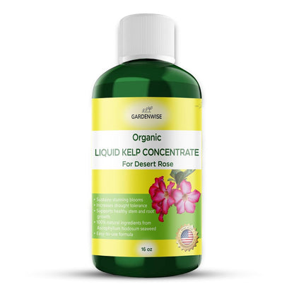 Liquid Kelp Fertilizer for Desert Rose - Plant Food for Adenium & Desert Plants - Organic Seaweed Fertilizer for Robust Growth and Blooms (16 OZ)