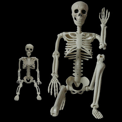 Skeleton Halloween Decorations Outdoor Indoor - 1Pcs 36" 1Pcs 16" Posable Plastic Skeleton,3FT Movable Joints Full Body Bones,Funny Halloween Decor for Party,Porch,Haunted House,Yard, Garden,Graveyard