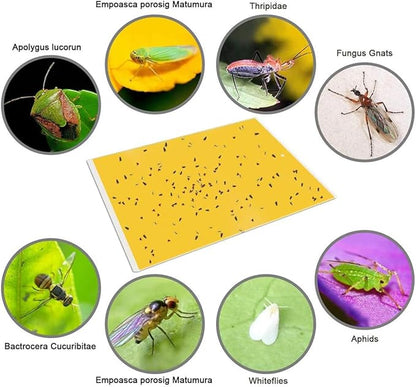 Gideal 50-Pack Dual-Sided Yellow Sticky Traps for Flying Plant Insect Fungus Gnats Whiteflies Aphids Leafminers Thrips (6x8 Inches, Included 50pcs Twist Ties)