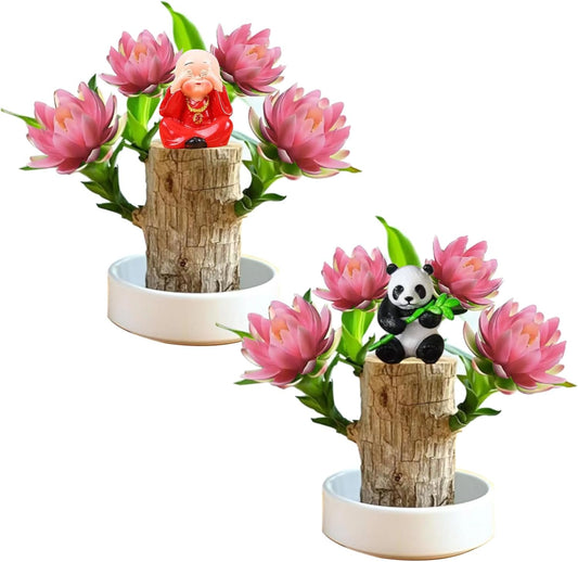 Brazilian Lucky Wood Kit with Monk, Grow Your Own Luck,Easy to Maintain Mini Brazil Woods for Indoor/Outdoor, Bedroom, Kitchen, Office Desk, Garden and Other Decorations (3A)