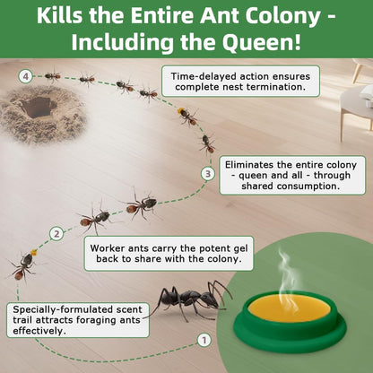 36 PCS Ant Killer Gel Bait Stations, Extra Strengthen Ant Bait Traps, Long-Lasting Effective Pest Gel for Carpenter Ants and Other Common Household Ants, No Mess Easy Use, Safe for Pets and Kids