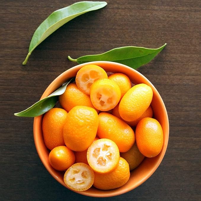 Gardenera's Premium Kumquat Soil Mix - Quick Drain Potting Soil for Growing and Repotting Citrus Japonica - 1 Quart