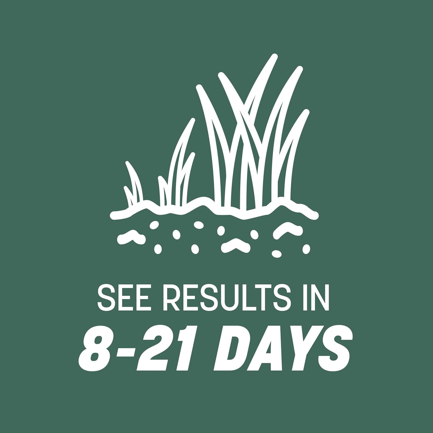 Pennington Kentucky 31 Tall Fescue Penkoted Grass Seed 40 lbs
