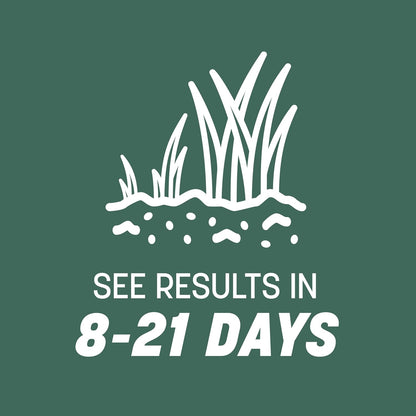 Pennington Kentucky 31 Tall Fescue Penkoted Grass Seed 40 lbs