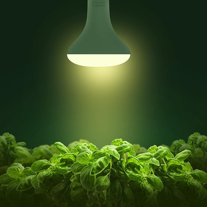 Briignite 2 Pack LED Grow Light Bulb, BR30 Grow Light Bulbs, Full Spectrum Grow Light 12W, Plant Light Bulbs, Grow Light for Indoor Plants, Seedlings, Greenhouse, Hydroponic