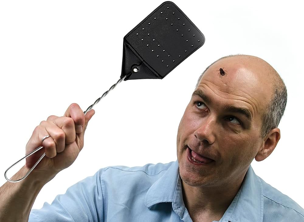 Leather Fly Swatter 2 Pack with 5 Window Fly Traps - Heavy Duty Fly Swatter Manual, Retractable Indoors Outdoors, Large Swatters Multi Pack Long Handle, MATA Moscas