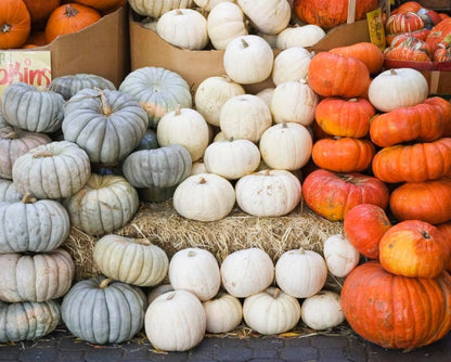 Spookie Pumpkin Seeds - Heirloom