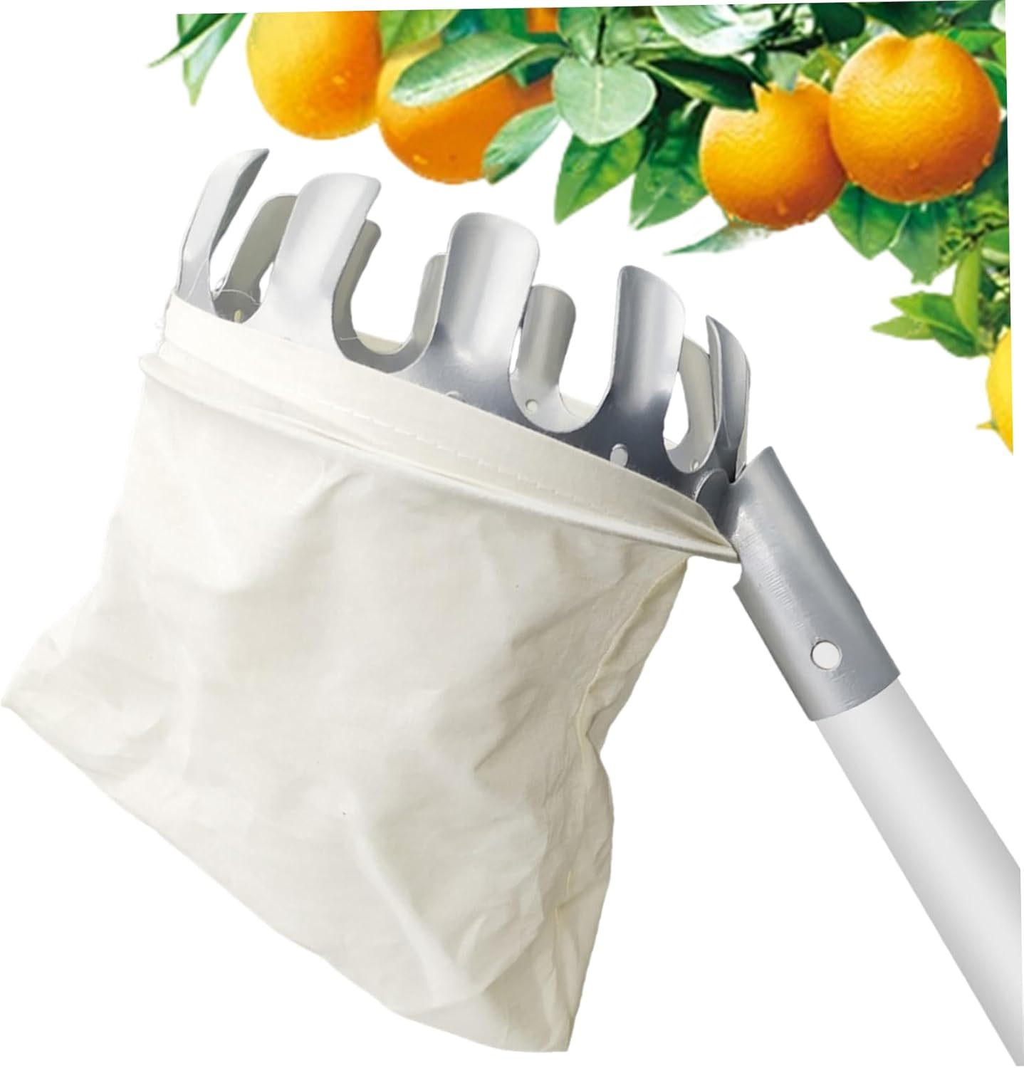 Fruit Picking Tool Fruit Picker with Storage Bag 6.30inch Diameter Portable Round Orange Pear Lemon Harvester Picking Tool Picks for Home Garden Farm Orchard