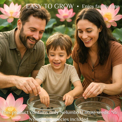 300pcs Lotus Seeds for Planting - 15 Unique Varieties Bonsai Bowl Lotus Seeds, Includes Detailed Planting Guide, Perfect for Ponds, Water Gardens & Gifts, High Germination, Easy to Grow