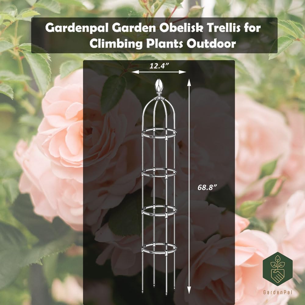 GardenPal Rustproof Metal Pipe Garden Obelisk Trellis, Tomato Cage and Plant Support for Climbing Plants, Potted Tall Plant Stakes for Vine Vegetable Flower Outdoor Indoor (Black, Φ31.7cm-H175cm)
