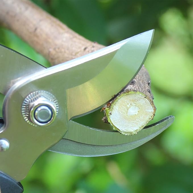 Garden Pruning Shears, Hand Pruner Scissor Tree Trimmers Secateurs Potted Cutters Snips Branch Plant Hedge Clippers Gardening Tool Stainless Steel Blades for Home Loppers Flower Bonsai Trimming