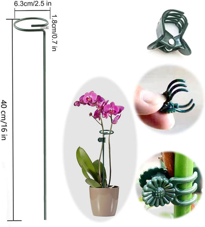10 pcs 16 inch Metal Single Stem Flower Plant Support Stakes and Rings for Amaryllis Orchid Lily Sunflower Rose Narcissus