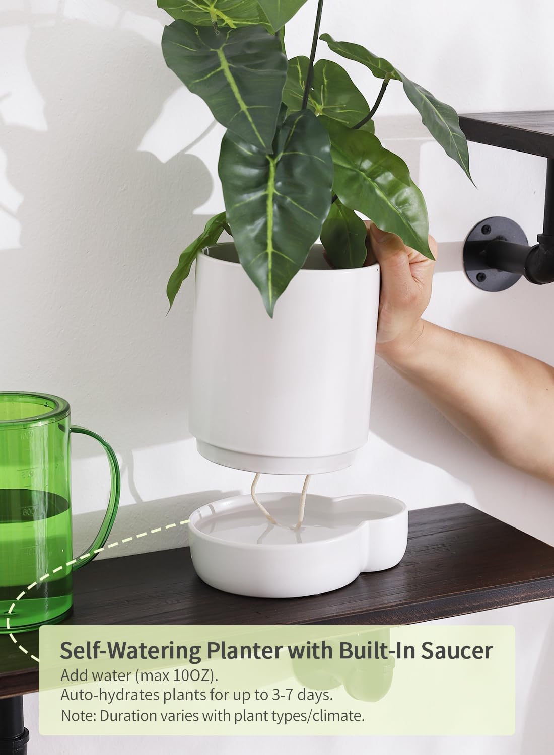 5.5 Inch Ceramic Self Watering Planters with Absorbent Cotton Rope, Cylinder Round Flower Pot for Succulent, Herbs, African Violets, White, 1 Pack