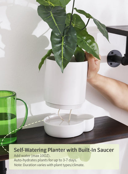 5.5 Inch Ceramic Self Watering Planters with Absorbent Cotton Rope, Cylinder Round Flower Pot for Succulent, Herbs, African Violets, White, 1 Pack